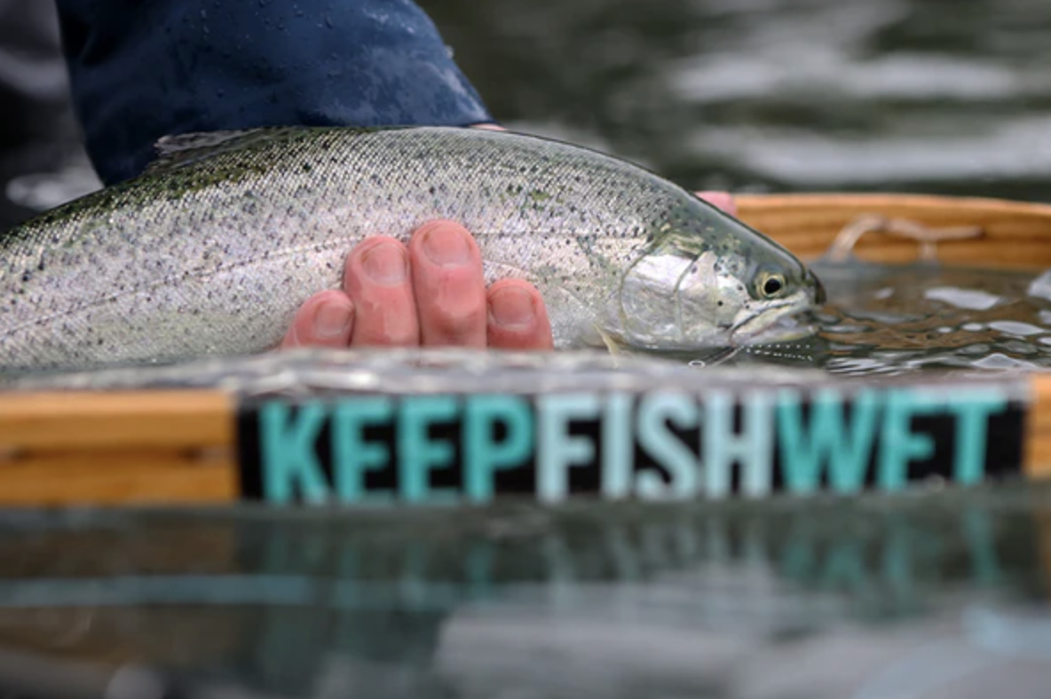 Puget Sound Walk and Wade Fly Fishing